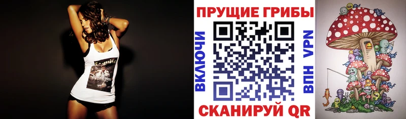 Галлюциногенные грибы Psilocybine cubensis  Купить где  Стерлитамак 